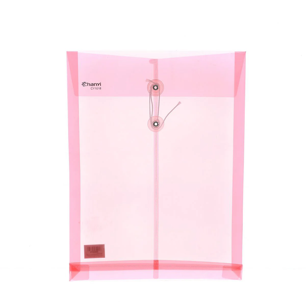 CHANYI Transparent String A4 Document Folder (1pc) - Image 3