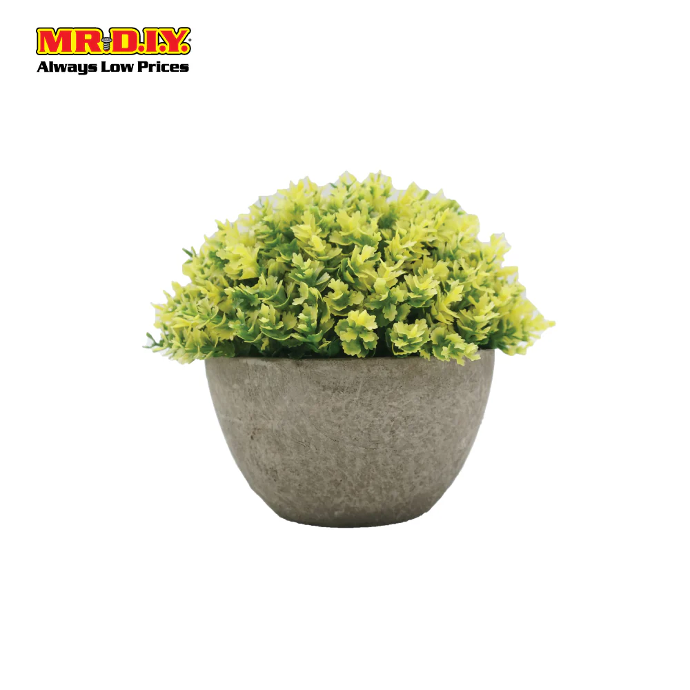 Decoration Plant with Pot - Image 3