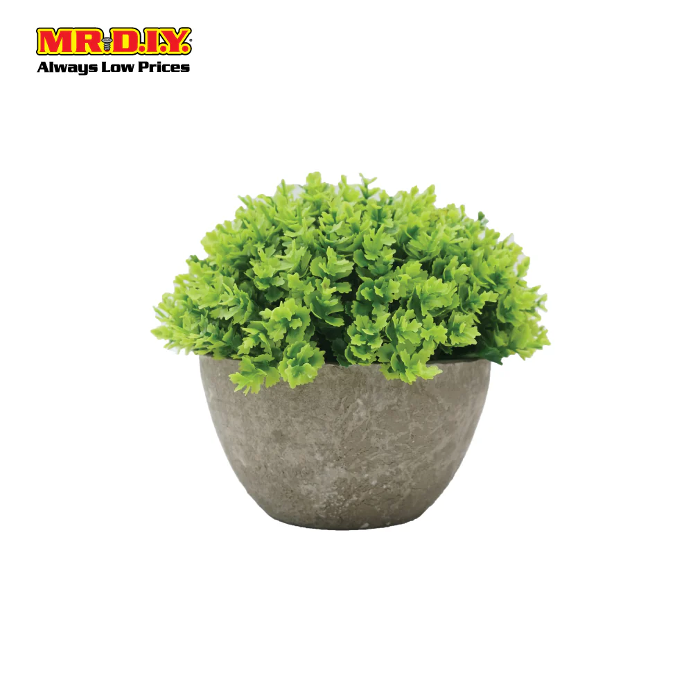 Decoration Plant with Pot - Image 4