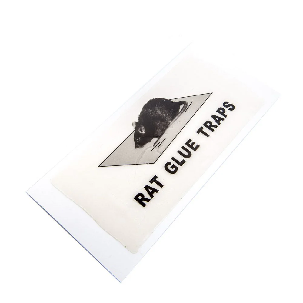 Expert Mouse Glue Trap (2pc) - Image 4