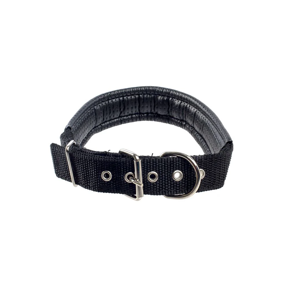 JIN XIN Pet Collar 3cm - Image 4
