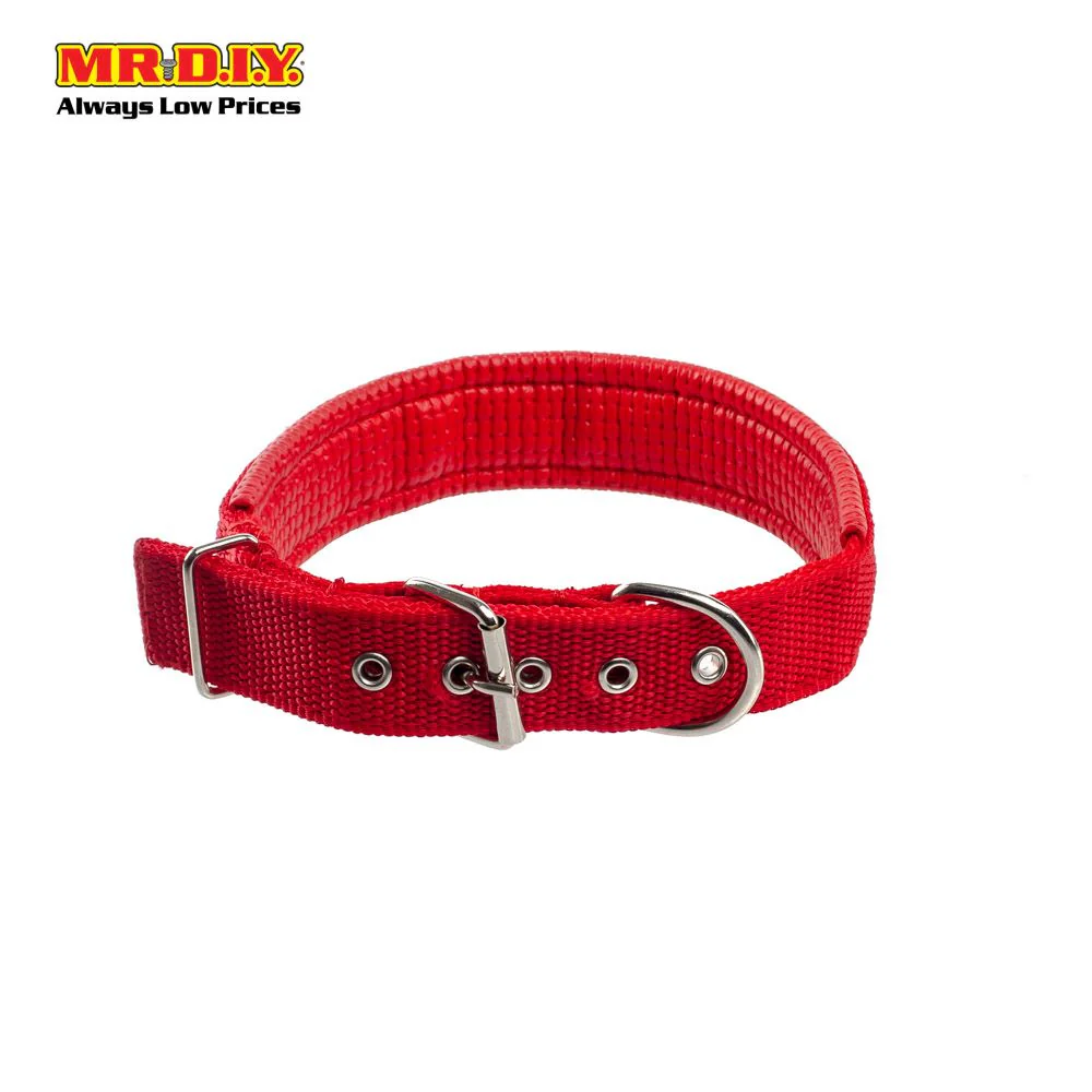 JIN XIN Pet Collar 3cm - Image 5