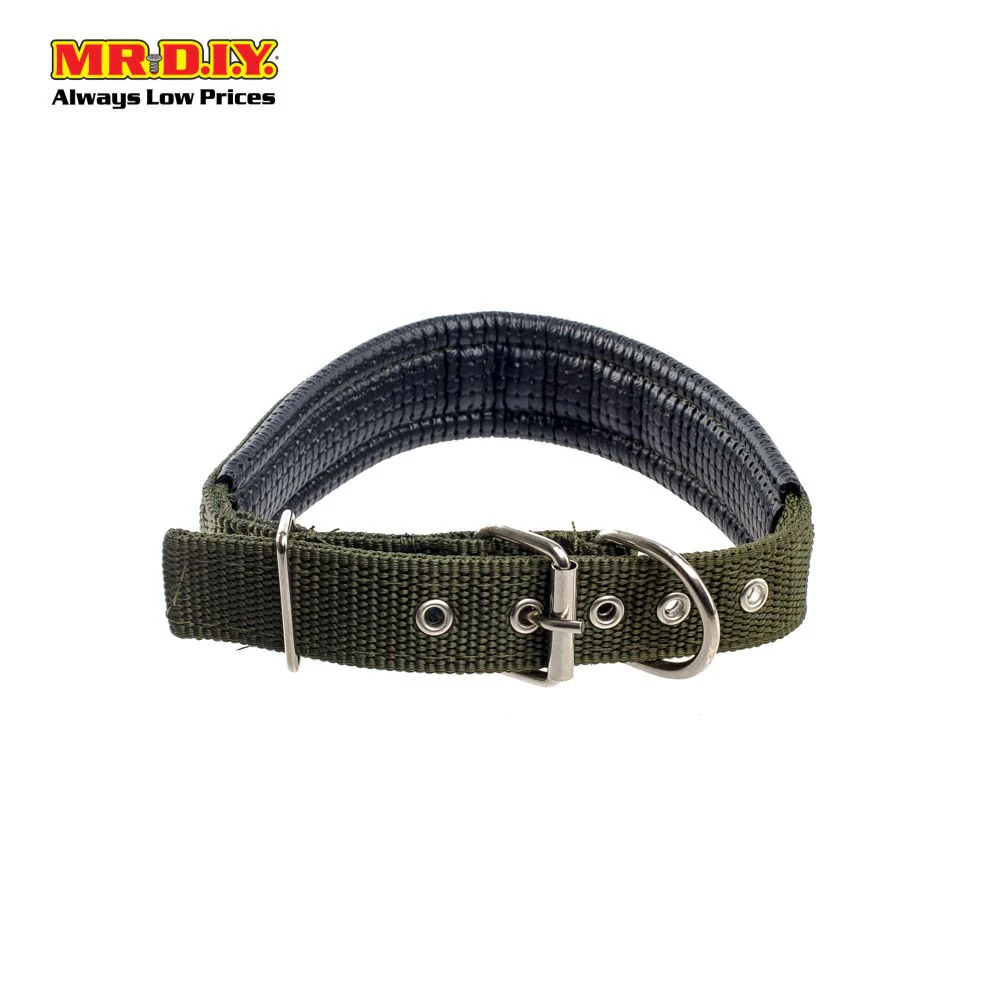 JIN XIN Pet Collar 3cm - Image 6
