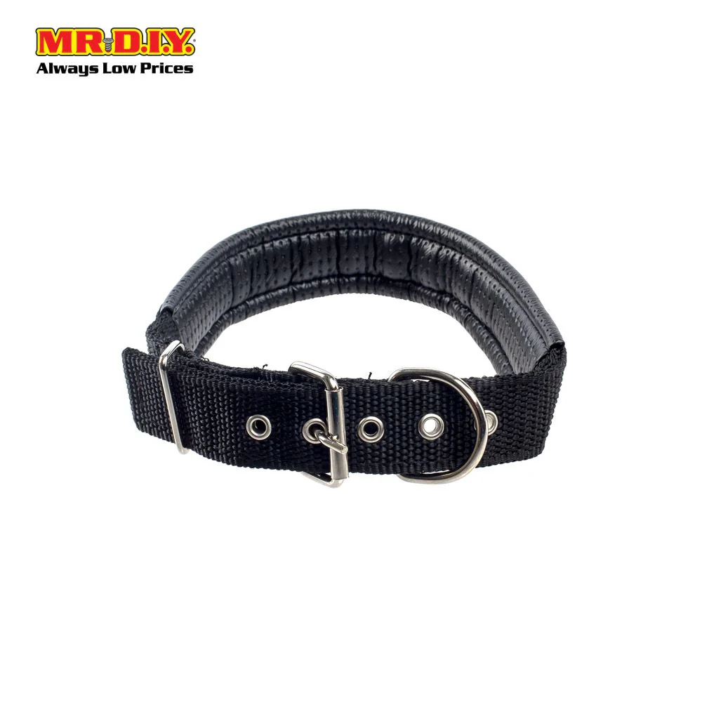 JIN XIN Pet Collar 3cm - Image 7