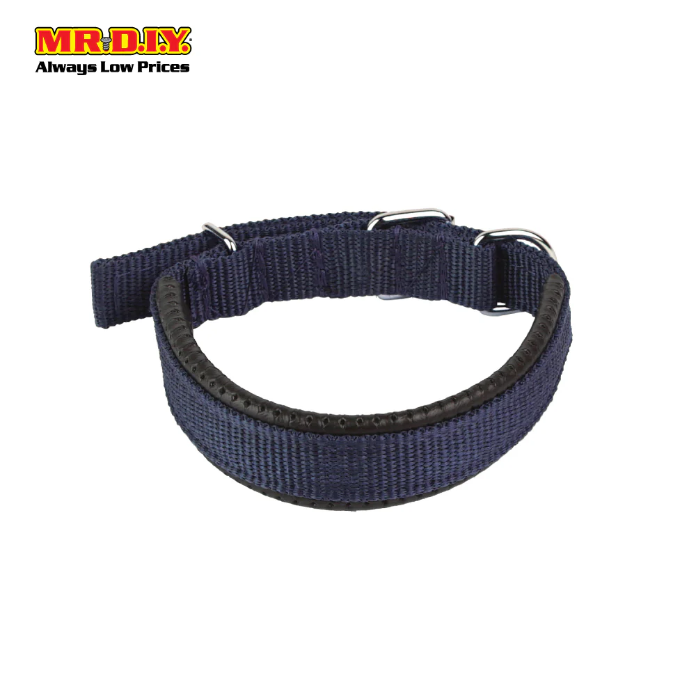 JIN XIN Pet Collar - Image 12
