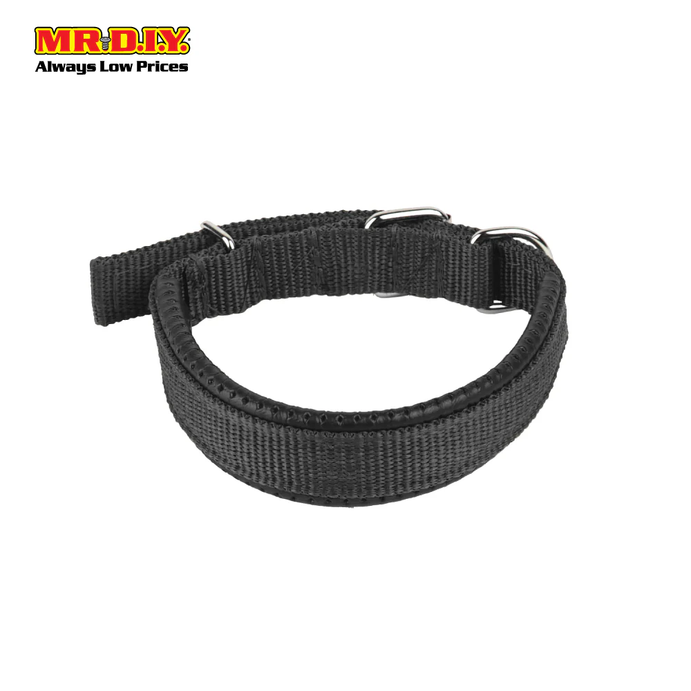 JIN XIN Pet Collar - Image 13