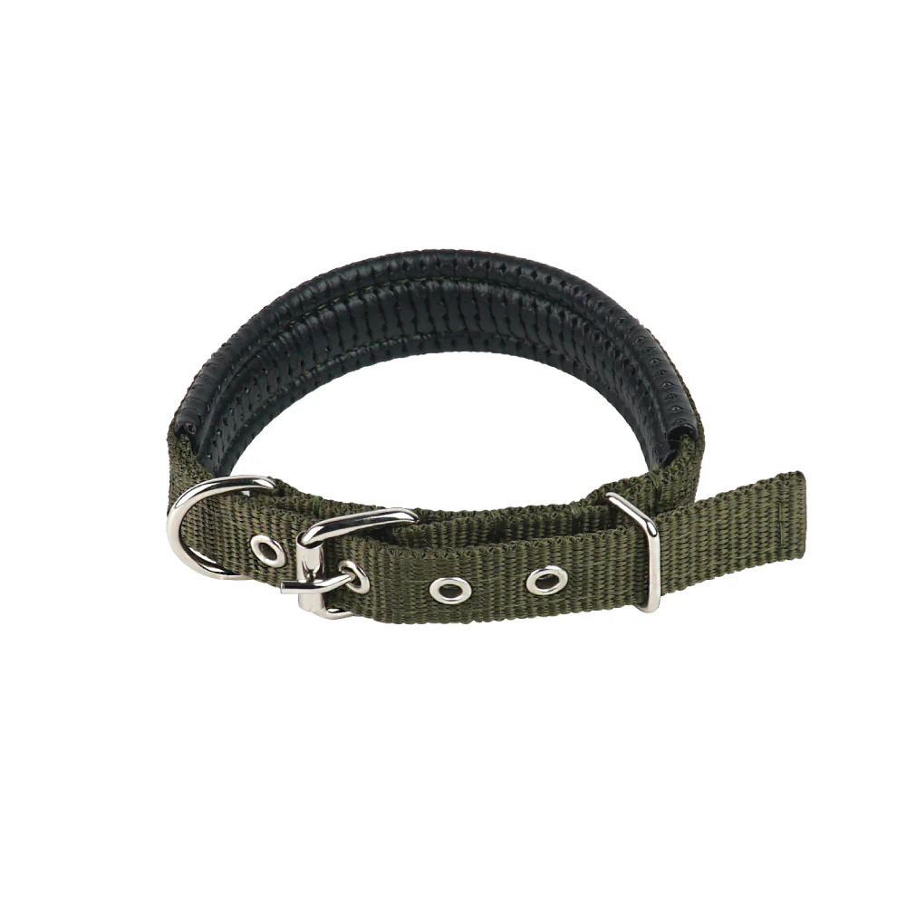JIN XIN Pet Collar - Image 9
