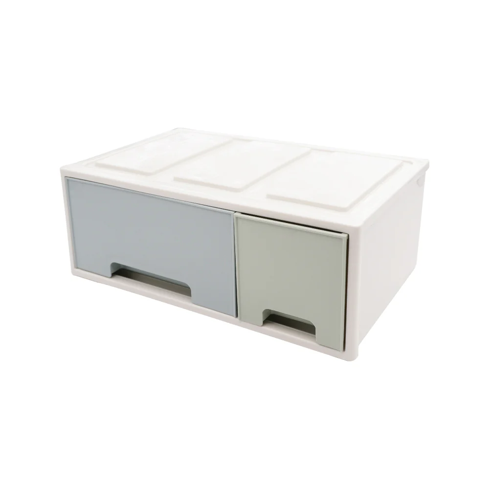 (MR.DIY) 2 Drawers Storage Box (32cm) - Image 4