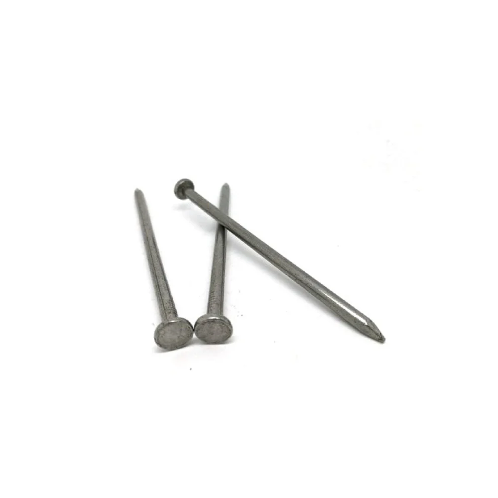 (MR.DIY) Steel Nail 1.5" (20pcs) - Image 2