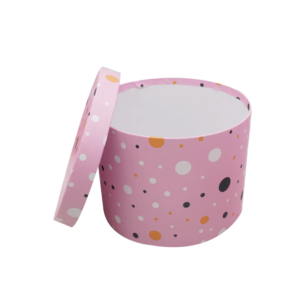 Multipurpose Plastic Gift Box (21x16cm) - Image 3