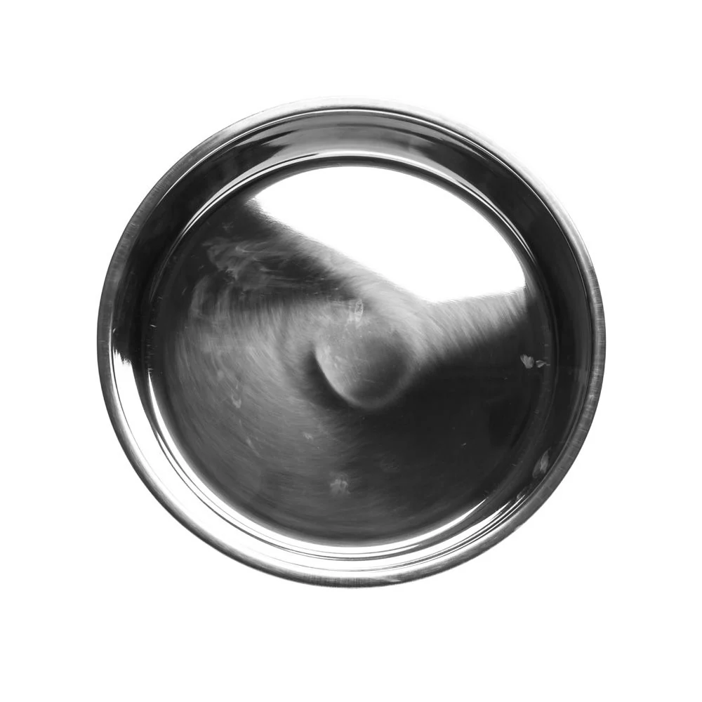 Stainless Steel Plate 33cm - Image 4