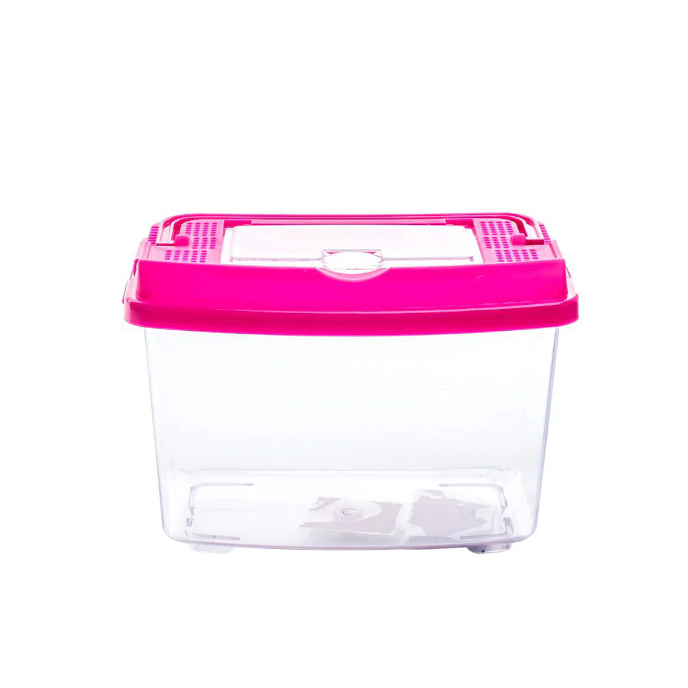 Terrarium - Image 6
